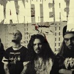 Pantera No Bitches?