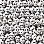 panda bunch