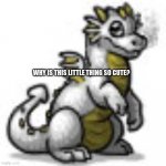 WHy is this little thing so cute? | WHY IS THIS LITTLE THING SO CUTE? | image tagged in cute baby dragon | made w/ Imgflip meme maker