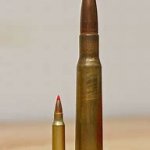 50 BMG vs 223