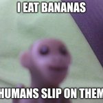 wise monkey | I EAT BANANAS; HUMANS SLIP ON THEM | image tagged in monkey,memes,wise man | made w/ Imgflip meme maker