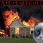 Burn Kitty | THEY WILL REGRET NOT FEEDING ME | image tagged in memes,burn kitty,grumpy cat | made w/ Imgflip meme maker