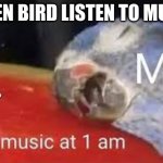 LOL | WHEN BIRD LISTEN TO MUSIC | image tagged in 1 am | made w/ Imgflip meme maker