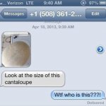 huge cantaloupe