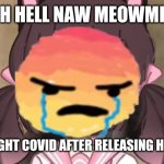 Meowmid | OH HELL NAW MEOWMID; JUST CAUGHT COVID AFTER RELEASING HER MERCH | image tagged in meowmid,merch,covid-19,coronavirus,memes | made w/ Imgflip meme maker
