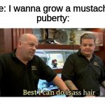 this is so true, at least for me and the dudes :( | me: I wanna grow a mustache!
puberty:; ass hair | image tagged in best i can do is gun,funny memes,useless tag,meme,funni | made w/ Imgflip meme maker