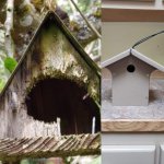 Amityville Bird House