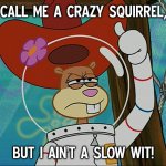 Call me a crazy squirrel | CALL ME A CRAZY SQUIRREL, BUT I AIN'T A SLOW WIT! | image tagged in sandy cheeks,memes,spongebob squarepants,sandy cheeks cowboy hat,squirrel,funny meme | made w/ Imgflip meme maker