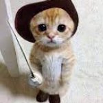 puss'n'boots cat