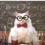 Chemistry Cat | WHEN YOU LEARN THE CONTROLS TO A GAME WITHOUT DOING THE TUTORIAL | image tagged in chemistry cat | made w/ Imgflip meme maker