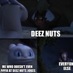 I don’t get it | DEEZ NUTS ME WHO DOESN’T EVEN LAUGH AT DEEZ NUTS JOKES EVERYONE ELSE | image tagged in memes,how to train your dragon,funny,deez nuts,not funny,funny memes | made w/ Imgflip meme maker