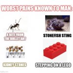 Lego | STEPPING ON A LEGO | image tagged in worst pains known to man | made w/ Imgflip meme maker