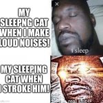 Cat! | MY SLEEPNG CAT WHEN I MAKE LOUD NOISES! MY SLEEPING CAT WHEN I STROKE HIM! | image tagged in i sleep real shit | made w/ Imgflip meme maker