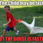 Honk | The Child may be fast; BUT THE GOOSE IS FASTER | image tagged in honk | made w/ Imgflip meme maker