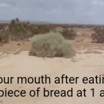So relatable | Your mouth after eating a piece of bread at 1 am | image tagged in gifs,bread | made w/ Imgflip video-to-gif maker