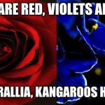 Roses are Red, Violets are Blue. | ROSES ARE RED, VIOLETS ARE BLUE; IN AUSTRALLIA, KANGAROOS HATE YOU | image tagged in roses are red violets are blue | made w/ Imgflip meme maker