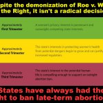 Roe v. Wade explained 2