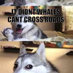 Dad jokes | why did the whale cross the road; IT DIDNT WHALES CANT CROSS ROADS | image tagged in dog joke | made w/ Imgflip meme maker