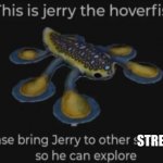 Jerry The Hoverfish