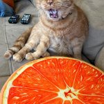 Yawning cat template