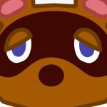 TOM NOOK HEAD