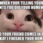 BelugaCat | WHEN YOUR TELLING YOUR PARENTS YOU DID YOUR HOMEWORK; AND YOUR FRIEND COMES IN AND SAYS "OKAY I FINISHED YOUR HOMEWORK" | image tagged in belugacat | made w/ Imgflip meme maker