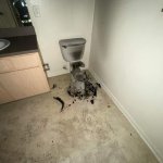 exploded toilet