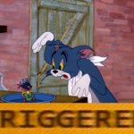 Tom Gets Triggered! | image tagged in tom and jerry tom horrified,tom and jerry,triggered,i'm triggered | made w/ Imgflip meme maker