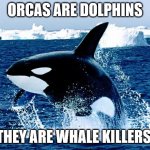 orca | ORCAS ARE DOLPHINS; THEY ARE WHALE KILLERS | image tagged in orca | made w/ Imgflip meme maker