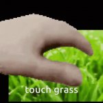 Touch grass scrunkly meme