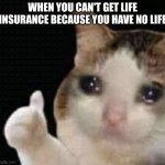 (╥_╥) | WHEN YOU CAN'T GET LIFE INSURANCE BECAUSE YOU HAVE NO LIFE | image tagged in cat cry | made w/ Imgflip meme maker