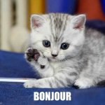 bonjour