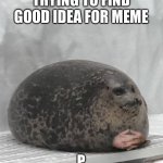 Seal waiting | TRYING TO FIND GOOD IDEA FOR MEME; P | image tagged in seal waiting | made w/ Imgflip meme maker