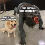 E | DOGS GETTING THEIR STOMACH PET CATS GETTING THEIR STOMACH PET | image tagged in dog vs werewolf | made w/ Imgflip meme maker