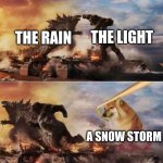 Kong Godzilla Doge | THE RAIN THE LIGHT A SNOW STORM | image tagged in kong godzilla doge | made w/ Imgflip meme maker