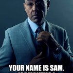 sam effect | MY NAME IS SAM.
(SAMUEL.); YOUR NAME IS SAM.
(SAMANTHA.)
WE ARE NOT THE SAME. | image tagged in we are not the same,funny | made w/ Imgflip meme maker