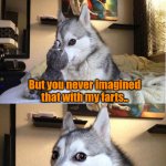 Paws | You always knew I'd bring you joy.. But you never imagined that with my farts.. I'd give you paws! | image tagged in bad pun dog 2,dog,farts,joy,paws | made w/ Imgflip meme maker