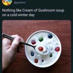 Cream of gushroom soup