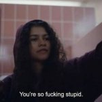 You’re so fucking stupid meme