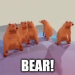 Ooooo | BEAR! | image tagged in gifs,bear | made w/ Imgflip video-to-gif maker