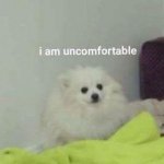 I am uncomfortable Meme Generator - Imgflip