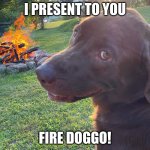 Fire dog | I PRESENT TO YOU; FIRE DOGGO! | image tagged in fire doggo | made w/ Imgflip meme maker