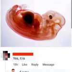 Pig embryo meme