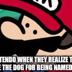 Bowser has transformed into a dog | NINTENDO WHEN THEY REALIZE THEY CAN'T SUE THE DOG FOR BEING NAMED BOWSER | image tagged in gifs,nintendo,funny memes,memes | made w/ Imgflip video-to-gif maker