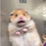 Scared Hamster | General: Fire at will!!!
Will: | image tagged in scared hamster | made w/ Imgflip meme maker
