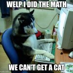 I Have No Idea What I Am Doing | WELP I DID THE MATH; WE CAN'T GET A CAT | image tagged in memes,i have no idea what i am doing | made w/ Imgflip meme maker