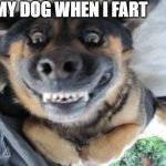 Crazy dog | MY DOG WHEN I FART | image tagged in crazy dog | made w/ Imgflip meme maker