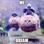 Storm Trooper Cats | ME; DREAM | image tagged in storm trooper cats | made w/ Imgflip meme maker