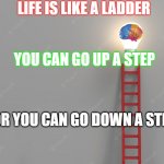 Ladder of life | LIFE IS LIKE A LADDER; YOU CAN GO UP A STEP; OR YOU CAN GO DOWN A STEP | image tagged in ladder | made w/ Imgflip meme maker
