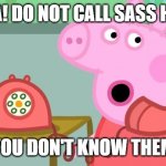 Peppa calls Sassafras house! | PEPPA! DO NOT CALL SASS HOUSE; YOU DON'T KNOW THEM | image tagged in peppa pig calls the ghostbusters | made w/ Imgflip meme maker